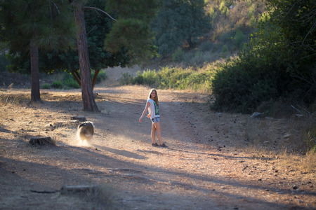 Young girl with collie dog walking in the forest. Evening light and autumn time. Walking on the forest road.の写真素材