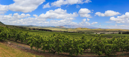 Panoramic view of mountains and hill on golan heights, Israel, Middle East.の写真素材