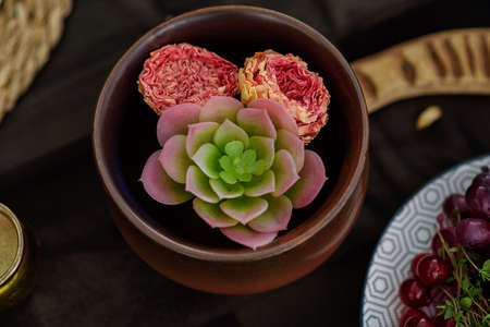 Wedding table decoration: in a pot of echeveria and rosesの写真素材