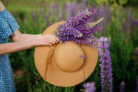 A woman is holding a bouquet of lupines and a hat on a lupine field.No face.の写真素材