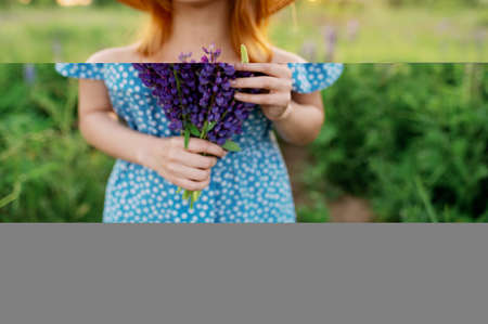 A woman holds a bouquet of lupines in her hand.No faceの写真素材
