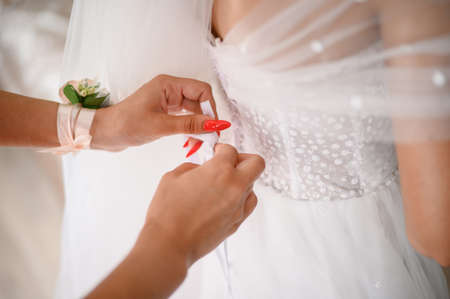 The bridesmaid helps the bride to button up the white wedding dress.の写真素材