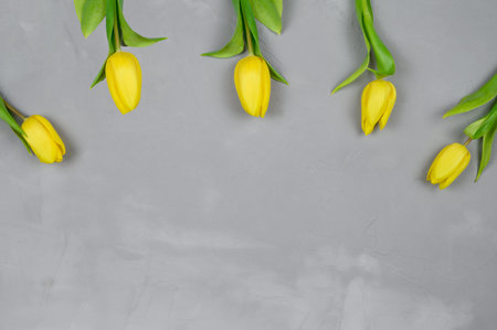 Layout of five yellow tulips on a gray concrete background. top view. The concept of spring, a...