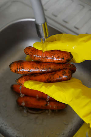 Dirty carrots are washed in the kitchen in yellow household gloves under running water. The concept of a healthy lifestyle.Vertical photography. Close-up. high quality photoの写真素材