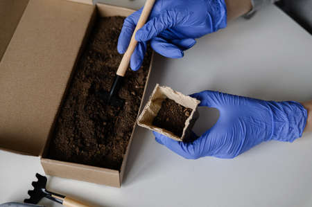 Female hands pour earth into a peat cup with a shovel for the earth.Planting seedsの写真素材