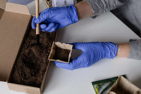Female hands pour earth into a peat cup with a spatula for the earth. Planting seedsの写真素材