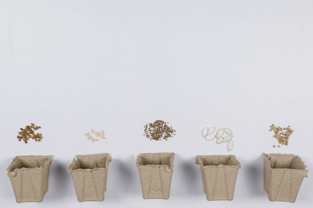 Layout of empty paper eco-friendly pots and seeds. Concept of planting flowers, vegetables or fruits, growing organic agricultural products. Copy spce.の写真素材