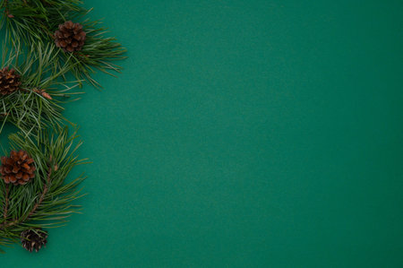 Christmas,winter,new year composition.Layout of pine branches and cones on a green background.Flat...