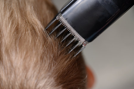 Haircuts of blond hair for a boy with a clipper, close-up.Hair care concept.Mother cuts son's hair at home with a clipper.の写真素材