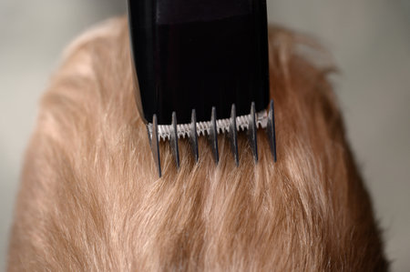 Haircuts of a boy's blond hair with a clipper in a barbershop, close-up. Hair care conceptの写真素材