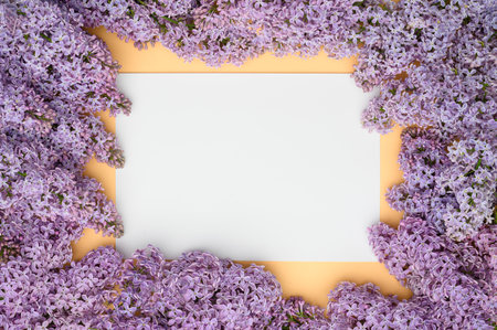 Layout of purple lilac flowers on a beige background,mock up in the center.Natural flower arrangement,flat lay,top view.の写真素材