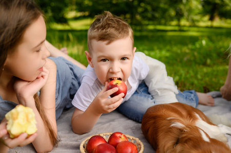 Family picnic in park on weekend. Boy and girl eat apples during picnic on grass, fruits are standing nearby and dog is lying down. Family vacation concept, family values, vacation in countryside.の写真素材