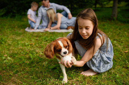 Girl playing with cavalier king charles spaniel puppy in park during picnic, parents with brother in background. Child and dog playing with toy on grass. Dog and human friendship concept, games.の写真素材