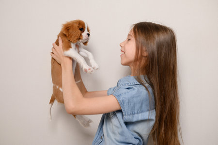 Girl tenderly holds small puppy in her arms, looking at him with joy and tenderness. Concept of love for dogs, care, and care for pets.の写真素材