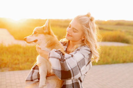 Woman holds cute little Welsh Corgi Pembroke dog in arms, showing love and joy, at sunset. Concept showing of love for pet, walk in nature.の写真素材