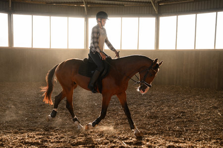 Rider rides horse in indoor arena. Professional rider, horse schoolの写真素材