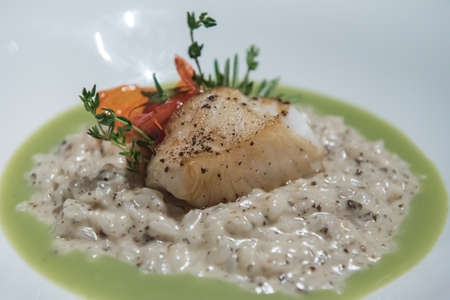 Snow Fish Resortoの写真素材