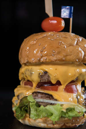 Cheese Burgerの写真素材