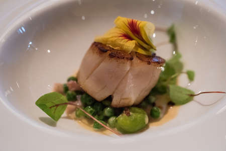 Scallop Grillの写真素材