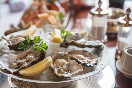 Oysters Dishの写真素材