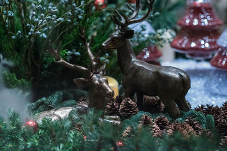 Reindeer Christmasの写真素材