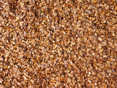 Close up photo of organic buckwheat husks used as a filling for buckwheat pillowの写真素材