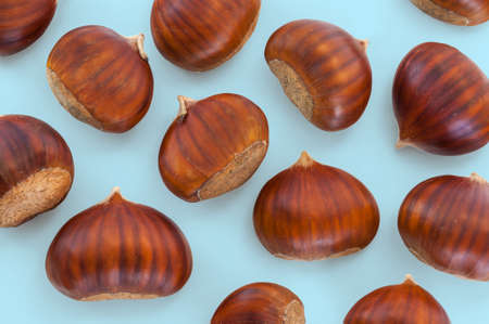 Texture of many chestnuts on green background, autumn decorations, Octoberの写真素材