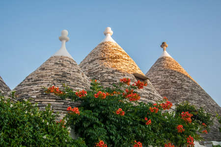 Alberobello Puglia Italyのeditorial素材