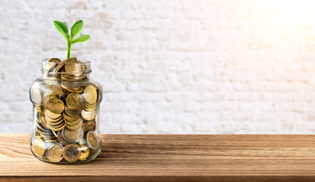 Plant Growing In Savings Coins - Investment And Interest Concept