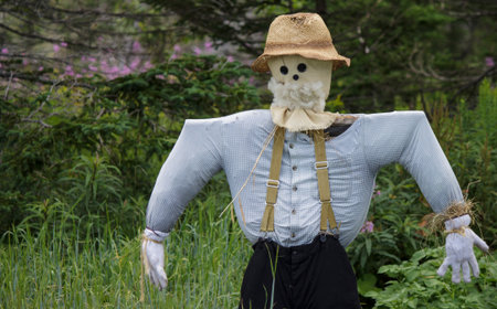 A rustic scare crow stands against green foiliage.の写真素材