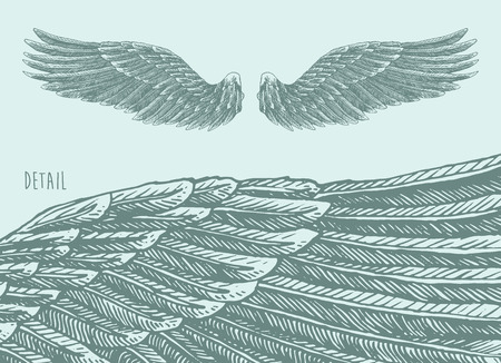 Angel wings illustration engraved style hand drawn sketchのイラスト素材