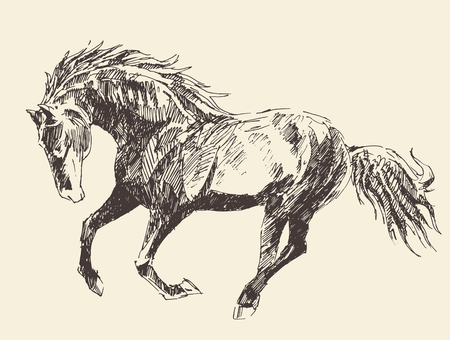 Horse vintage engraved illustration, retro style, hand drawnのイラスト素材