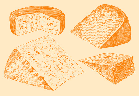 Cheese set engraving hand drawn vintage  vector illustrationのイラスト素材