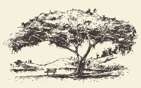 Beautiful romantic illustration of tree with bench hand drawn sketchのイラスト素材