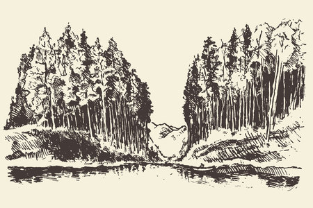 Hand drawn landscape with lake and fir forest vintage vector illustrationのイラスト素材