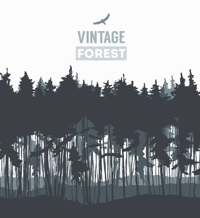 Pine forest design template hand drawn vector illustrationのイラスト素材