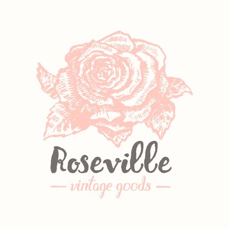Vector rose label ink outline sketch elementのイラスト素材