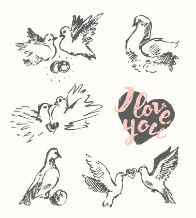 Beautiful hand drawn wedding pigeon, love symbol, vector illustration, sketchのイラスト素材