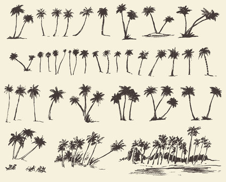 Vector illustrations silhouette of palm trees hand drawn sketch forty piecesのイラスト素材