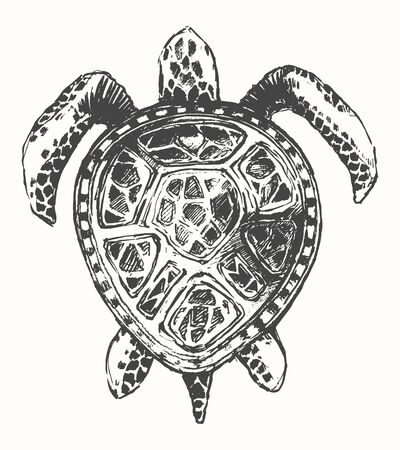 Hand drawn turtle illustration, template sketchのイラスト素材