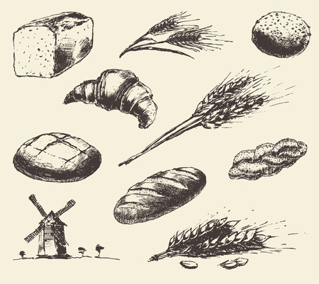 Set of fresh bread. Hand drawn illustration of bread long loaf baguette croissant wheat wind mill. Vector vintage sketchのイラスト素材
