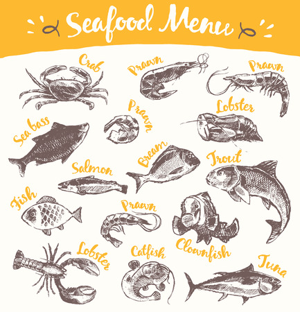 Collection of hand drawn seafood and fish vector illustration sketch engraved styleのイラスト素材
