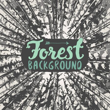 Pine forest design template hand drawn vector illustrationのイラスト素材