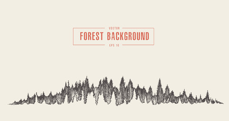 Pine forest background vector drawn sketchのイラスト素材