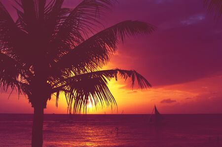 Silhouette palm tree sailboats sunset faded filterの写真素材