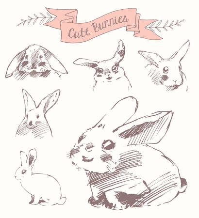 Set cute bunnies easter rabbits vector draw sketchのイラスト素材