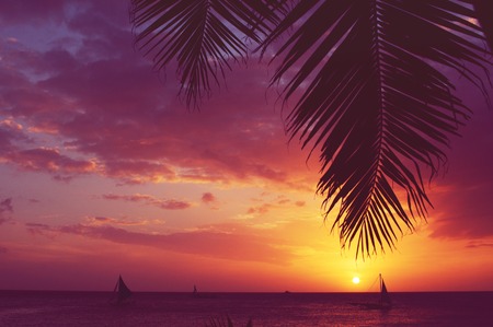 Silhouette of palm tree and sailboats at sunset, faded filterの写真素材