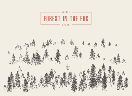 Misty fog in pine forest on mountain slopes, vector illustration, hand drawn, sketchのイラスト素材