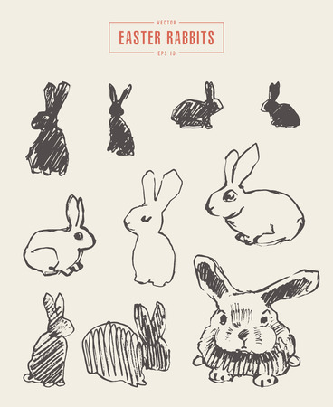 Collection realistic rabbits drawn vector sketch illustration.のイラスト素材