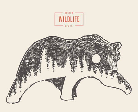 Silhouette wild bear forest wildlife drawn vectorのイラスト素材